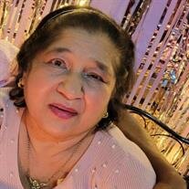 Bibi Zahiboon Shameer