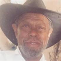 Harvey Lee Perry
