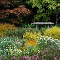 William Thomas McCaughan