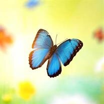 Bernadette P. O'Connor