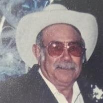 Nestor P. Veliz