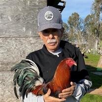 Tomas Villalobos Lara