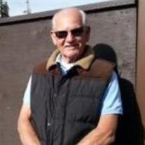 Pearce Butler Perkins