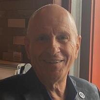 Mr. David M. Cerminaro