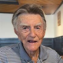 Harry McHenry Darnell