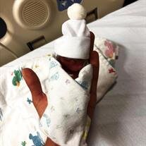 Jordan Lee Prado Jr