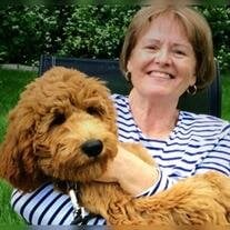 Carole Sue Green