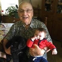 James D Schultz Sr