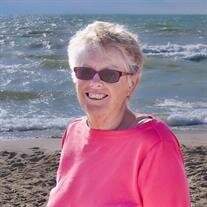 Nancy Jean Heyboer (Opple)