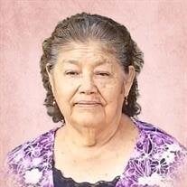 Maria Elena Mora Vazquez