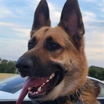 Thor
