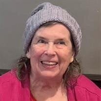 Mary "Sue" Swisshelm nee Whissen