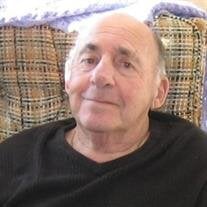 Troy Scattarella