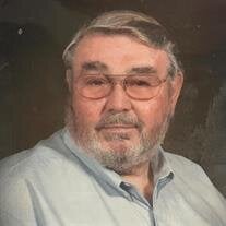 Mr. Ray O. Nelson Jr.