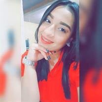 Andrea Guadalupe Torres-Gonzalez