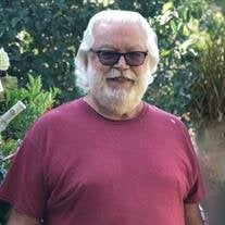 Joe C. Hamilton