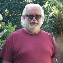 Joe C Hamilton