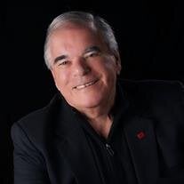 Robin L. Webb