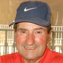 Anastasios G. Nastatos