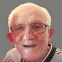 Vincent L. Giglio