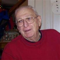 David J. Skammer