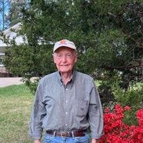 Mr. Neville J. Quarles