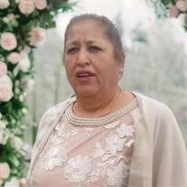 Virginia Medrano