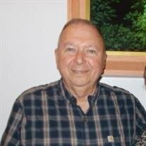 Donald Louis Domingue