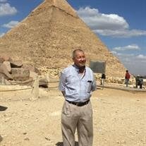 Mohamed Yehia Shahin