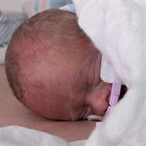 Jamie Brooks Catherall