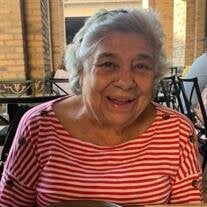 Maria Villarreal Ramirez