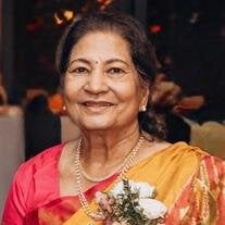 Vina Narendra Shukla