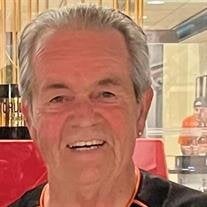 Mr. Dennis Joseph Walsh
