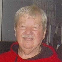 Aldis O. Berzins