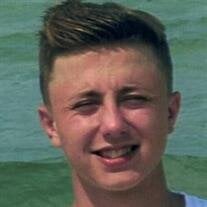 Logan Drake Like