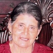 Soledad Torres