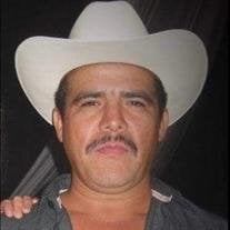 Julio César Estrada