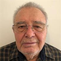 Volcho Petkov