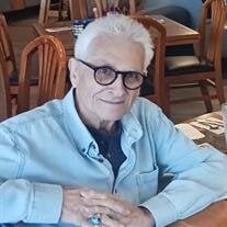 Mr Michael Torchia