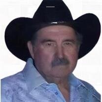 Miguel (Mike) Montemayor