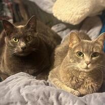 Jax and Daphie