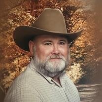 Roy Cook Jr