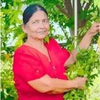Bhoni Tara Persad