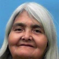 Carol Ann Norcross