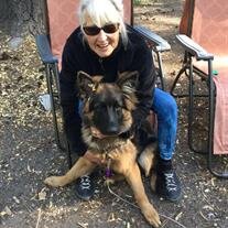 Pamela Sue Pattison