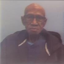 MR. ROBERT LOUIS POUNCY II