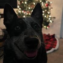 Daisy Mae Moore