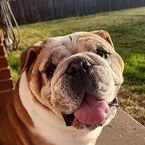Biggie Lou Mendez