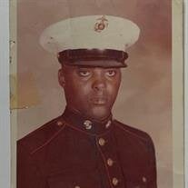 Mr. Fred Watson Jr.