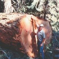 Pat Raymond Hoskins